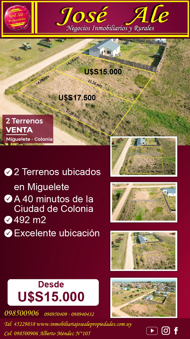 Imagen 3